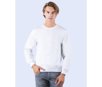 BEST VALUE SWEAT STARWORLD SW298